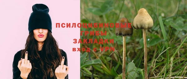 гашик Коряжма