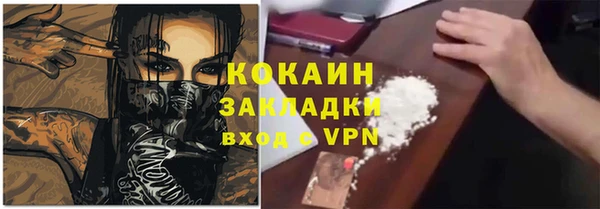 гашик Коряжма