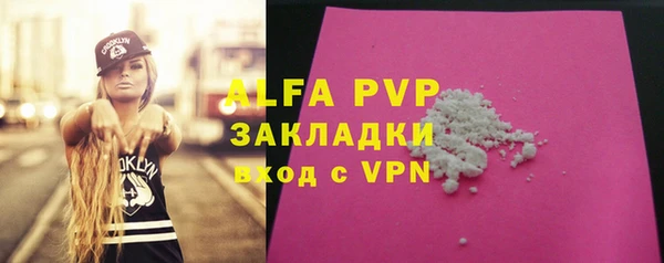 гашик Коряжма