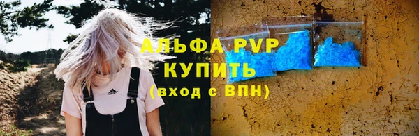 гашик Коряжма