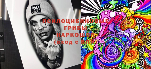 а пвп мука Кодинск