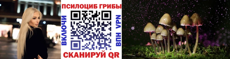 Галлюциногенные грибы Magic Shrooms  Купить где  Кочубеевское 